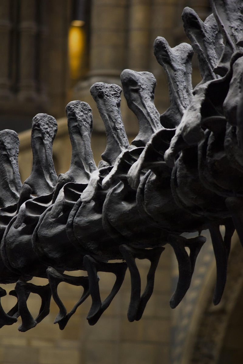 Prehistoric Era